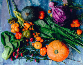 Domain 4: Eat and Drink  Antioxidants & Polyphenols 