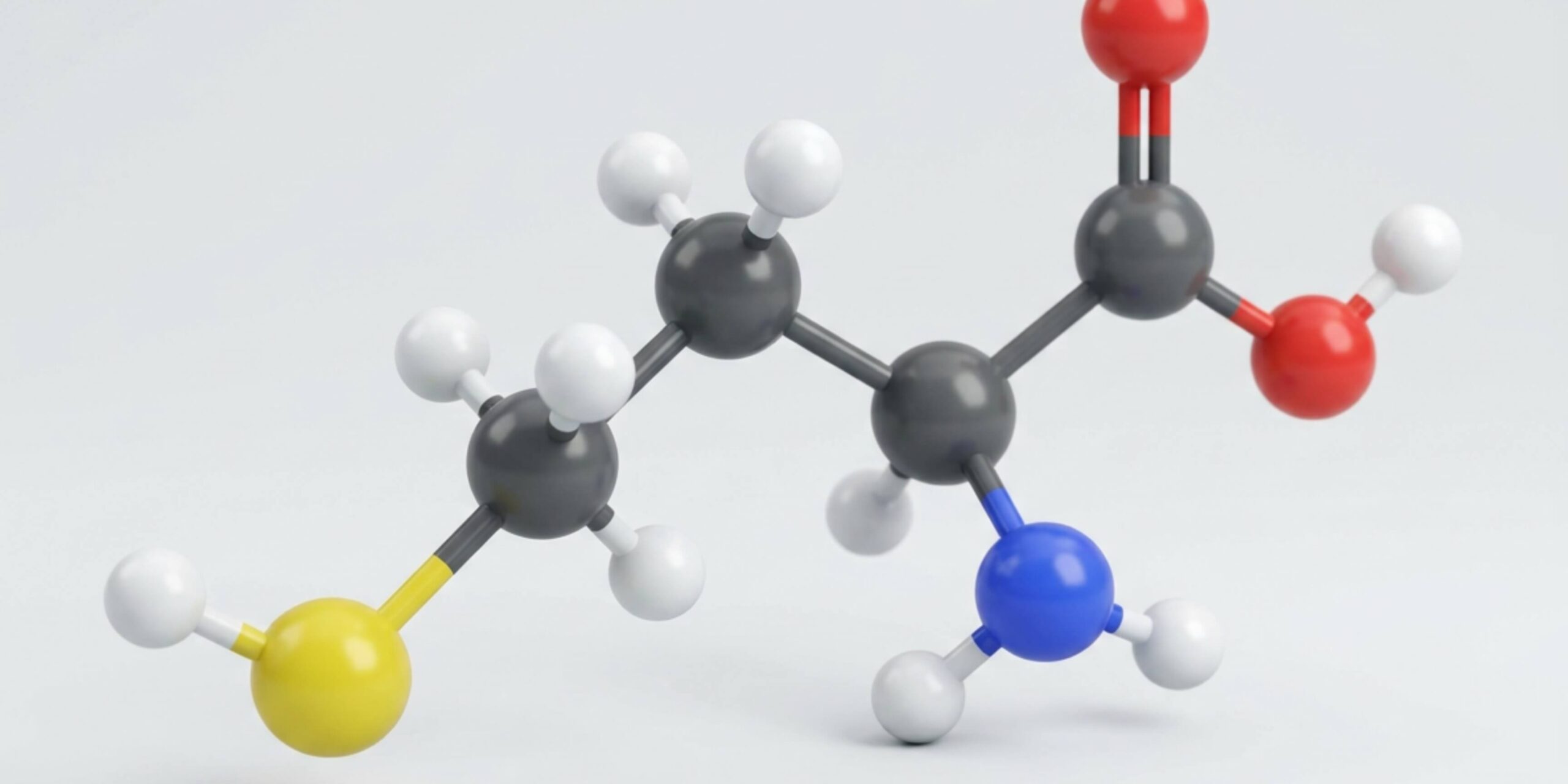 Homocysteine and Brain Health: An Overview
